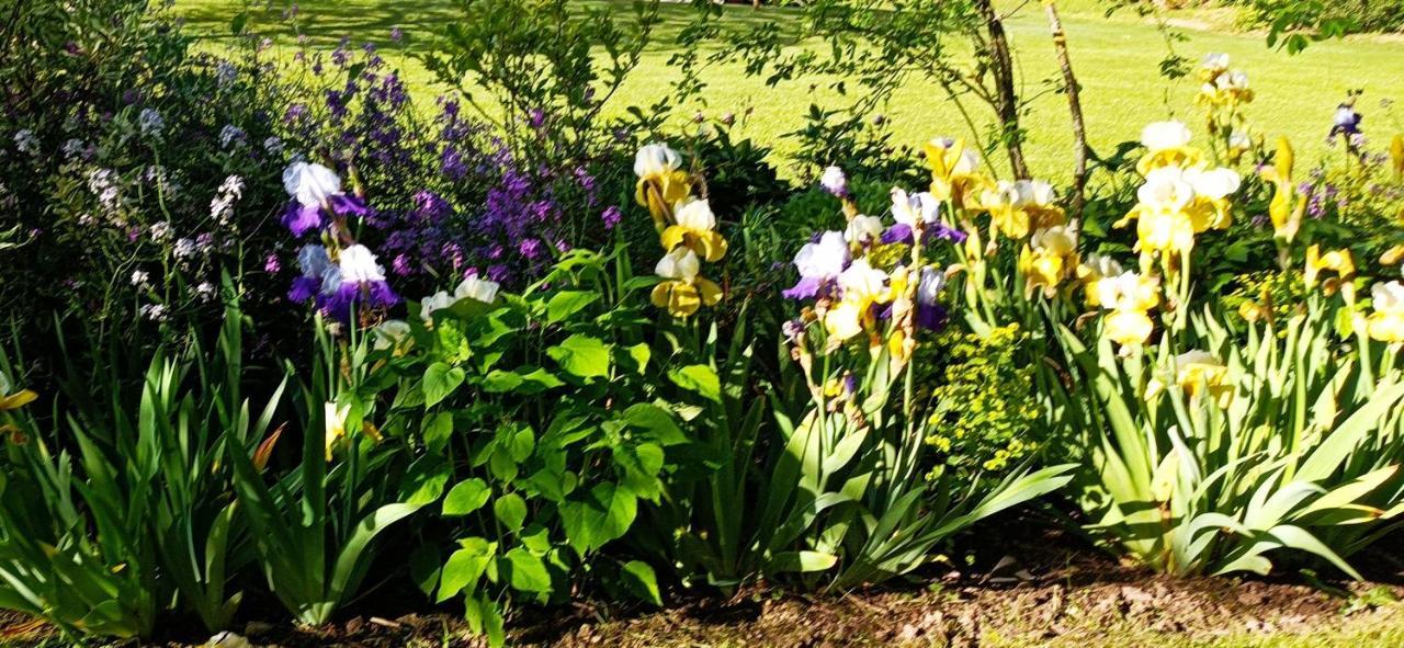 Chambre D'Hotes Au Jardin De La Bachellerie Екстер'єр фото